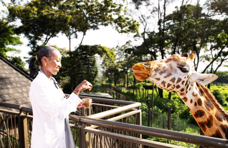 Как снизить кортизол