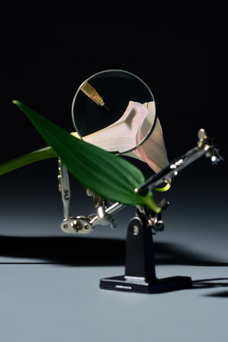 Как прохиодит процедура в Медесте