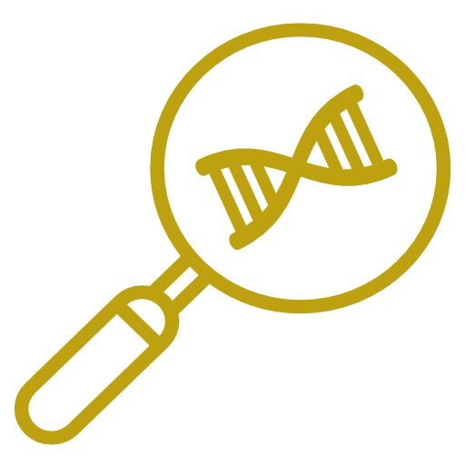 Персонализированный подход к здоровью